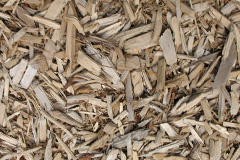 biomass boilers Coppenhall Moss